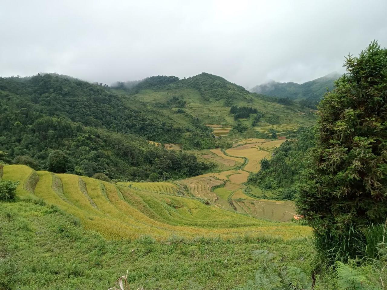 Bac Ha Charm Stay Exterior photo
