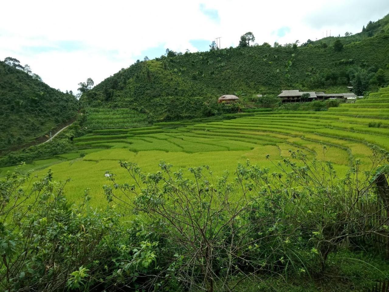 Bac Ha Charm Stay Exterior photo