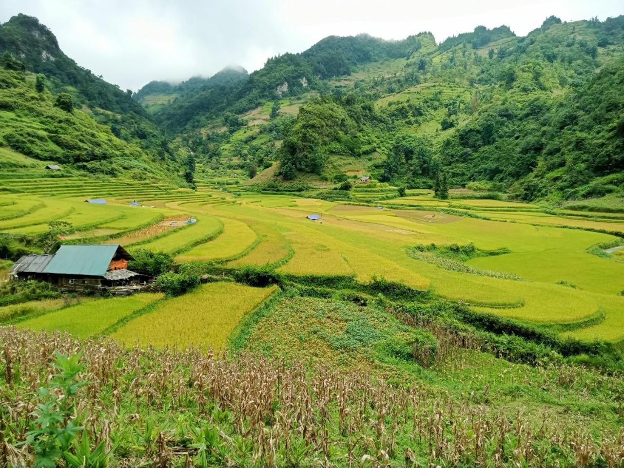 Bac Ha Charm Stay Exterior photo