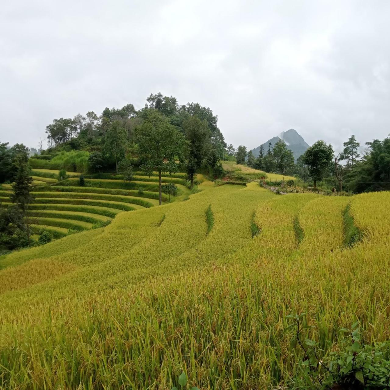 Bac Ha Charm Stay Exterior photo